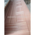 mdf door skin moulded door skin